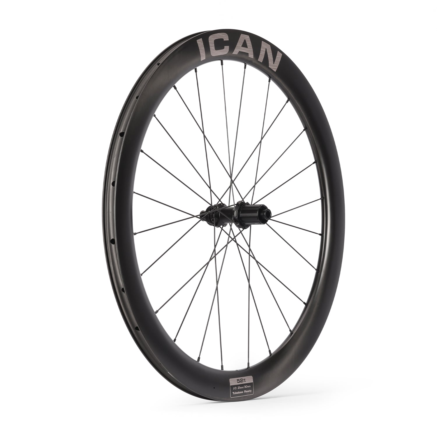 ICAN-Pie-38-1